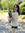 member photo member photo