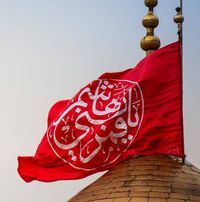 فيصل التميمي