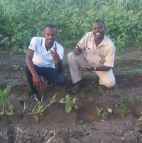 مناضل الطيب