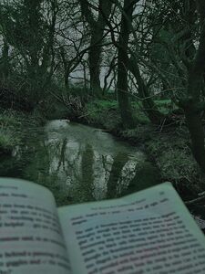 IHateReading