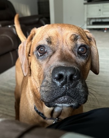Tim