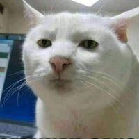Bhacod Bhacod
