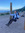 Sandra