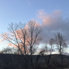 Sebastian Van Der Weide