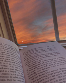 vx 📖