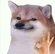 Inu