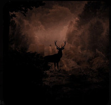 ＊*•̩̩͙✩•̩̩͙*˚A˚*•̩̩͙✩•̩̩͙*＊