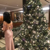 Mary Liu