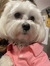 Carly C...