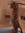Dev