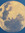 Carlota