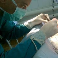 Иван Панкратов