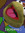 member photo member photo