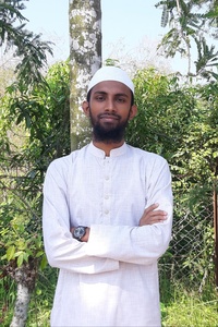 Mizan Ali