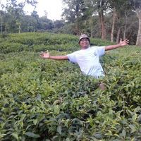 মোঃ হাসানুজ্জামান