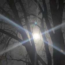 Phoenix Blue-Koszalka