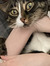 Lise
