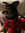 Arya