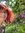 Pip Murphy (pipmurphyauthor) | 8 comments