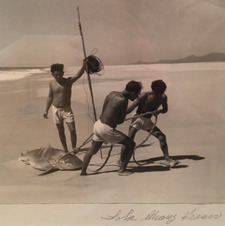 Miro Wrightson-Lyons