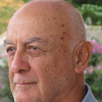 Στέλιος Νεγρεπόντης