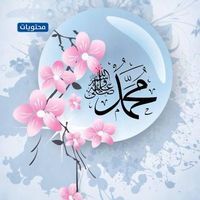 أحمد فؤاد النجار