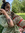 ianna 