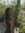Katie Blume