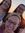 Kelsey Saulnier