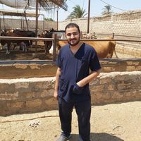 Ahmad Ashraf