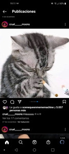 Minerva