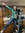 Katie Hastings