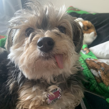 Regan hotdogmaster09