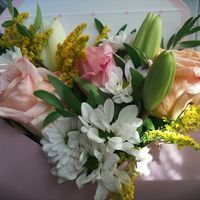 Елисавета Костадинова