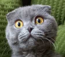 Оксана Ушакова