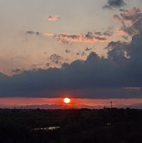 Việt Phêrô Nguyễn