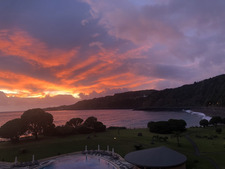 Curtis D’Hollander