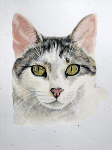 Flor Fossati