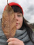 Sanne d...