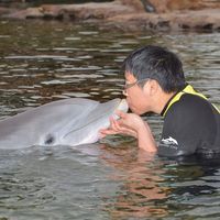 Christopher Ma