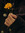 nora. | 2 comments