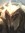Yorick