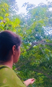 Archana Rameshkannan