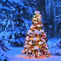 Sympha-Tex Andrijaševci