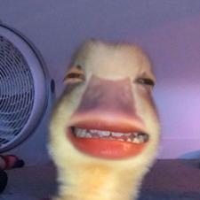 uê