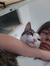 Annie