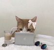 manu 