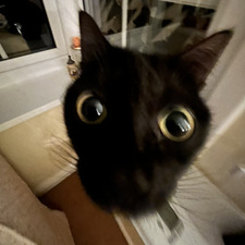 libby