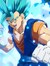 Majinve...