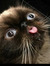 Ludovic...
